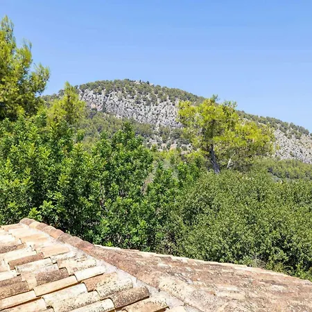 Verd Villa Pollenca